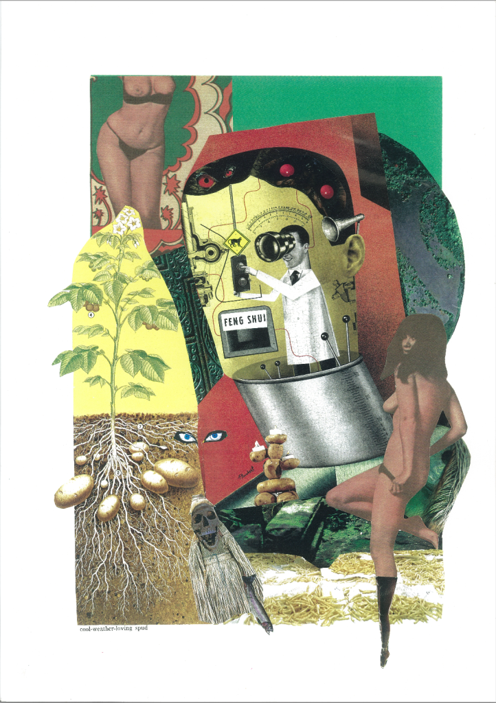 Feng Shui